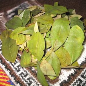 Coca Leaves 100 gr